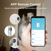 Détecteur de fermeture d'ouverture de fenêtre de porte à distance Tuya boîtier noir capteur d'obturateur de porte intelligent fonctionne avec Alexa Google Home
