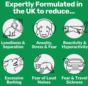 Los masticables calmantes nutricionales para mascotas <span class=keywords><strong>al</strong></span> por mayor de fábrica OEM promueven un suplemento de relajación para perros <span class=keywords><strong>alergia</strong></span> apoyo inmunológico - Product Image 2