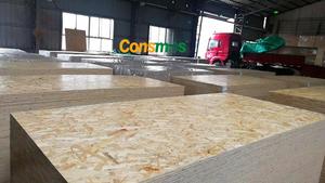 Consmos-<span class=keywords><strong>madera</strong></span> <span class=keywords><strong>OSB</strong></span> de 3/4 pulgadas, tablero de hilo orientado - Product Image 3