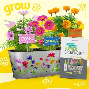 Kit <span class=keywords><strong>de</strong></span> culture <span class=keywords><strong>de</strong></span> fleurs et <span class=keywords><strong>de</strong></span> plantes personnalisé - Design nature pour enfants <span class=keywords><strong>de</strong></span> 5 à 12 ans - Projets <span class=keywords><strong>de</strong></span> jardinage et d'art - Cadeau d'anniversaire unisexe - Product Image 5