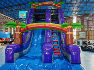 <span class=keywords><strong>Grand</strong></span> toboggan aquatique gonflable commercial à deux voies, bleu, avec <span class=keywords><strong>palmier</strong></span> cocotier, pour la cour, avec piscine pour adultes - Product Image 6