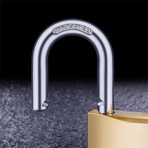 Candado <span class=keywords><strong>de</strong></span> Latón Profesional con Grillete <span class=keywords><strong>de</strong></span> Acero Endurecido <span class=keywords><strong>de</strong></span> Alta <span class=keywords><strong>Seguridad</strong></span>, <span class=keywords><strong>Precio</strong></span> <span class=keywords><strong>de</strong></span> Fábrica al por Mayor, Sistema <span class=keywords><strong>de</strong></span> Llave Maestra - Product Image 2