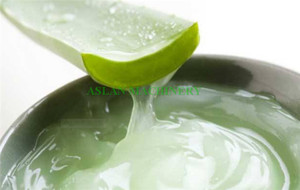 Máquina Procesadora de Productos de Aloe/ Máquina de Extracción de Gel de <span class=keywords><strong>Cactus</strong></span>/ Máquina Peladora y Extractora de Hojas de Aloe Vera - Product Image 5