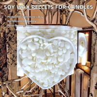 Cire de Soja en Pellets 100% Naturelle à Bas Prix pour la Fabrication de Bougies – Vente en Gros de Cire de Soja Granulaire pour Pâques, Noël, Anniversaire