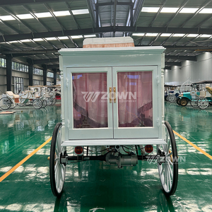 ZOWN 4WD Silent Electric Hearse 60V 80A Battery Solid Wheels <b>Pink</b> Curtain - Product Image 2