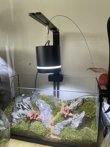 Lámpara LED para Acuario con Temporizador, Lámpara de Escritorio para Pecera, Brillo Ajustable para Acuarios Plantados - Product Image 6