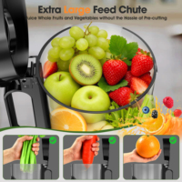 Extracteur de jus électrique étanche en gros pour la maison, presse à froid à mastication lente, moteur silencieux, facile à utiliser en anglais