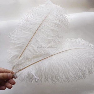 Plumes d'autruche naturelles brutes en gros, blanches, 14-16'' (35-40 cm), pour centre de table de mariage, costumes de carnaval, vêtements - Product Image 1