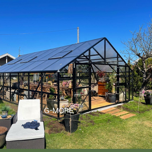 DIY Extérieur Jardin Bâtiment Aluminium Victorien Commercial Diy Lean to Glass Jardin <span class=keywords><strong>Serre</strong></span> Arrière-cour Utilisé pour la Vente - Product Image 4