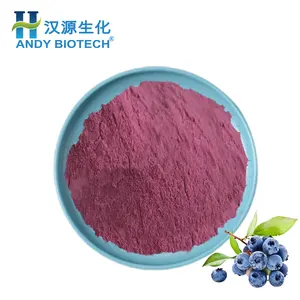 Supply Wild Bulk Price Spray Dried Blueberry Juice Powder