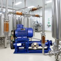 Bomba de Cavidad Progresiva para Inyección de Mortero de Cemento y Hormigón |   Rejuntado para Construcción OEM