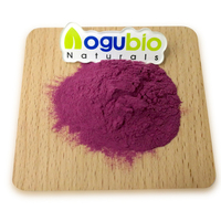 Poudre de fruits de myrtilles sauvages biologiques lyophilisés de qualité alimentaire en gros 1 kg