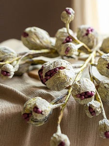 ช่อดอกไม้แห้งทำมือสไตล์วาบิซาบิสมจริง ตกแต่งผลไม้และดอกไม้ สำหรับห้องนั่งเล่นและโต๊ะรับประทานอาหาร - Product Image 4