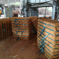Compacteur de fibres naturelles pour emballage : Fibres de bambou, fibres de coco, machine à balles de fibres usagées