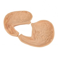 Módulo de Simulación Laparoscópica para Procedimientos Quirúrgicos de Anastomosis Gástrica - Práctica 3D para Sutura y Corte