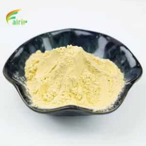 Оптовая цена на порошок апельсинового сока Fairir: высококачественный органический растворимый апельсиновый порошок - Product Image 1