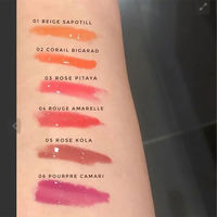 Maquillage brillant à lèvres liquide rouge à lèvres SPF 30 longue durée imperméable hydratant repulpant brillant à lèvres maquillage mat brillant à lèvres ensemble