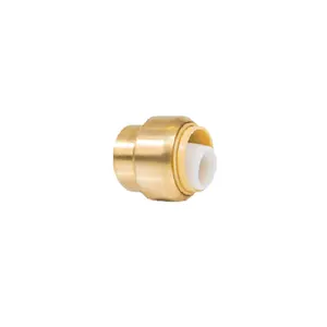 AVONFLOW Brass Adapter F1960 X Brass Coupling Lead Free plumbing pex fittings