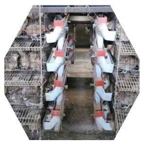 Poultry Quail Equipments Layer Quail Cage with Automatic Feeder