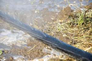 خرطوم رش مرن جديد من البولي إيثيلين مع فتحات - Product Image 3