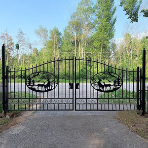 Porte principale européenne en fer forgé Conception de poignée de porte en fer forgé - Product Image 4