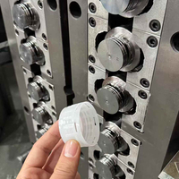Molde Avanzado de 24 y 32 Cavidades para Tapas de Botellas de Plástico