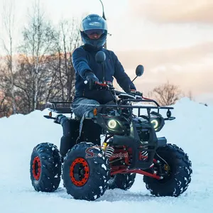 새로운 형식 ATV 특별한 디자인 2000w 솔 모터 전기 4 짐수레꾼 ATV 전기 ATV 쿼드 자전거