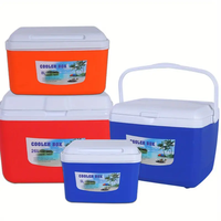 Glacière Isotherme Portable pour Camping, Pique-nique ou Voiture, Maintien au Frais, Plusieurs Tailles : 5L, 13L, 26L