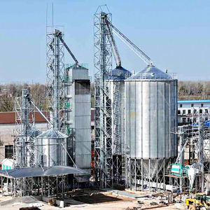 Silo de stockage de céréales de 100 à 10 000 tonnes de capacité, en acier galvanisé, pour maïs et céréales, destiné aux exploitations agricoles de 1 000 000 poulets et 15 000 bovins - Product Image 1