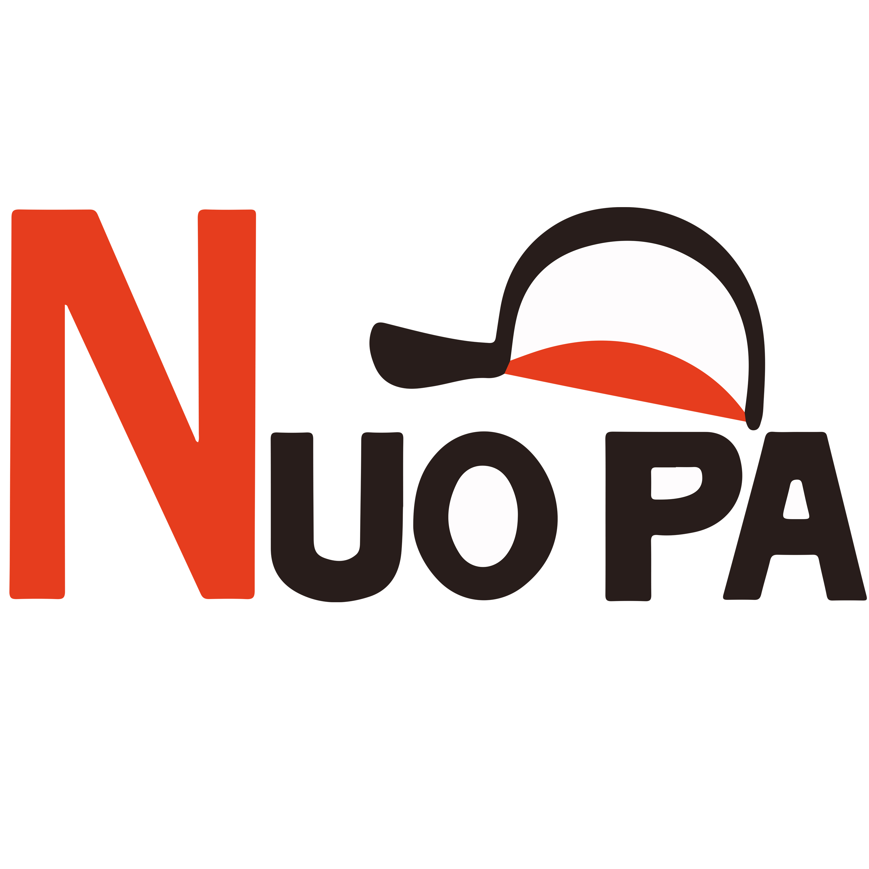 Dongguan Nuopai Hat Industry Co., Ltd. logo