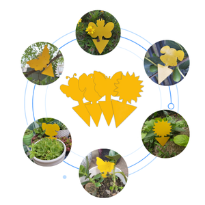 Hot bán Vàng côn trùng dính bẫy thực vật kiểm soát dịch hại sản phẩm cho trái cây bay và Gnat - Product Image 3