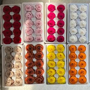 رؤوس زهور محفوظة مباشرة من مصنع Lovebay رأس ورود أحمر وأبيض وردي خالدة للأبد محفوظة إلى الأبد - Product Image 2