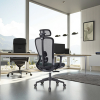 Chaise de bureau ergonomique en maille réglable à mi-dossier avec support lombaire réglable Accoudoir pivotant-Prix compétitif