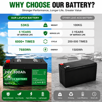 Batteries LiFePO4 Phosphate Fer Lithium Solaire 12V 24V 100Ah 200Ah 280Ah 300Ah en Stock UE PL Sans Taxe, Batteries Lithium-Ion 24V