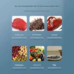 Fábrica de China de 1 año de garantía, tipo vertical, sellado de grano, mariscos, pescado, carne, superventas, máquinas de envasado <span class=keywords><strong>al</strong></span> <span class=keywords><strong>vacío</strong></span> eléctricas - Product Image 4