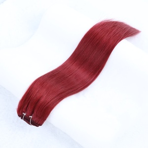 Extensions de cheveux humains lisses et soyeux de haute qualité pour un usage quotidien - Product Image 2