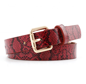 Ceinture décontractée pour filles, style western, en toile et PU, avec boucle fine rétro à ardillon, motif serpent, boucle en alliage, production personnalisée - Product Image 4
