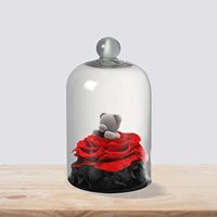 Cloche avec dôme en verre pour bougies, 16 pièces, Cloche, verre de présentation, pour bonbons, bougies