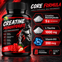 Créatine monohydrate en poudre, gommes à la créatine, vitamine 12, L-taurine, complément alimentaire pour le soutien de l'entraînement, logo personnalisé OEM