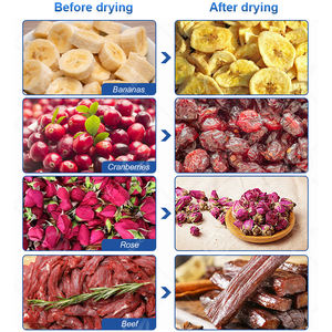 Horno de Secado OCEAN para Pepino de Mar y Biltong, Deshidratador de Alimentos de Acero Inoxidable, Máquina Secadora de Frutas - Precio - Product Image 4