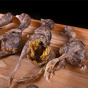 Oem odm מפעל מחיר הסיטונאי חיות מחמד הקפאה-מיובש פינוקים פריכים - Product Image 4