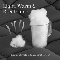 Couette matelassée en microfibre coréenne épaissie 1 pièce, taille King, pour l'hiver, vente en gros, gris, noir, blanc