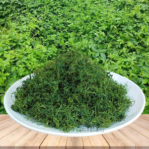 Longxu Dragon-barbe Jiaogulan Gynostemma Pentaphylla Herb Pur-naturel Organique Pingli Jiaogulan Tisane Douce - Product Image 4