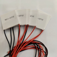 TEC1-12712 12V 12A 40*40MM dissipateur thermique refroidisseur thermoélectrique refroidissement Module de plaque Peltier