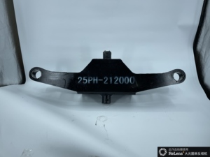 New Arrival tùy chỉnh nhiều tầng bộ phận xe nâng chỉ đạo trục cơ thể 25ph-212000 3t chỉ đạo Knuckle cho xe nâng - Product Image 4