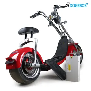 Hollanda stok Dogebos Sc14 Coc Eec çıkarılabilir pil elektrikli Scooter için yetişkin 12Ah