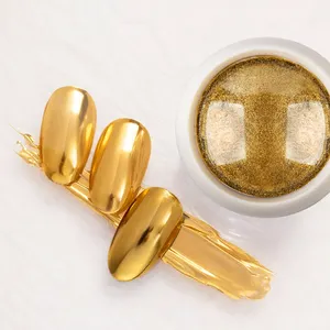 2024 European Standard Non-Microplastics Professional Nail Products Mirror Powder Gold 12 colors