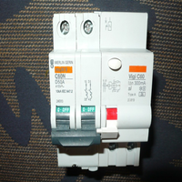 Plc Differential Circuit Breaker 50a 300ma Selective, Si, a Curve D 40ampere for Warranty Product