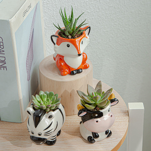 Vaso per Piante Grasse in Ceramica a Forma di Cartone Animato, Semplice e Carino, Creativo per Giardinaggio Domestico, Confezione in Cartone - Product Image 1