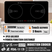 Table de Cuisson à Induction Encastrable 2 Feux pour Appareils Électroménagers avec Certifications CB et CE